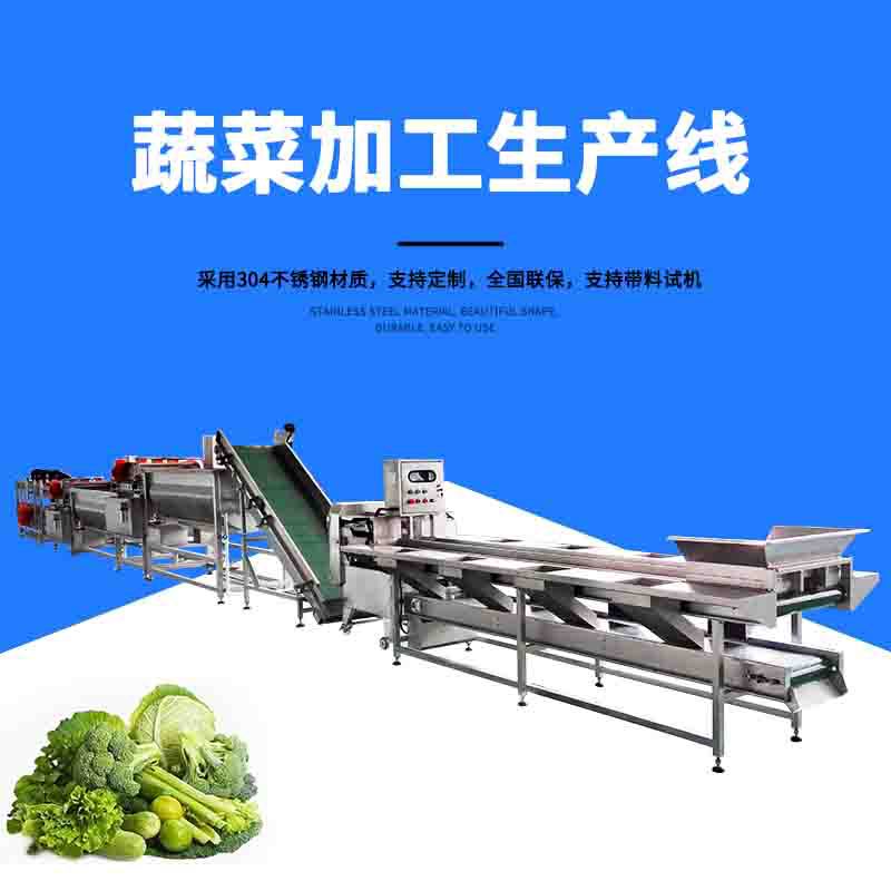 蔬菜清洗加工生產(chǎn)線